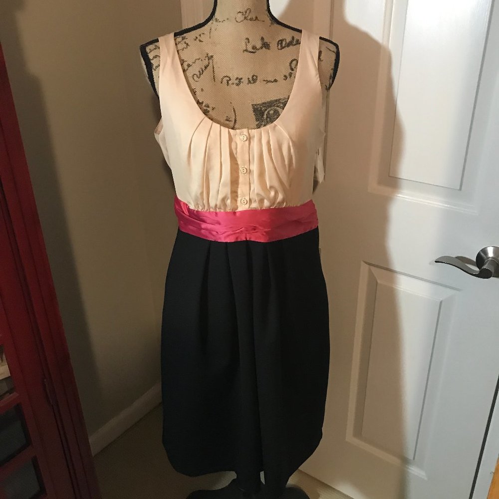 NWT -NY & Co Blush Pink + Black Dress with Pockets